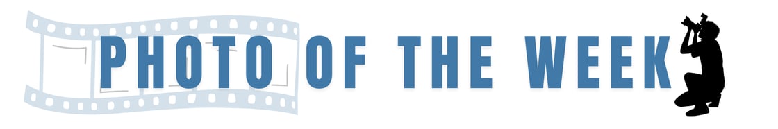 Photo of the week header NL